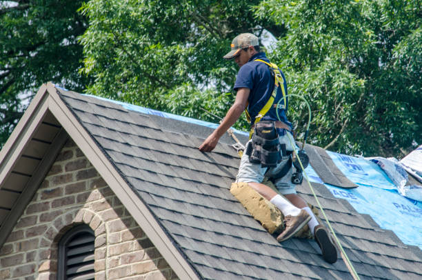 Professional Roofing Contractor in Priest River, ID